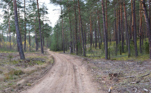 47. Į Šventas Agles.jpg